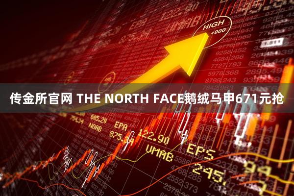 传金所官网 THE NORTH FACE鹅绒马甲671元抢