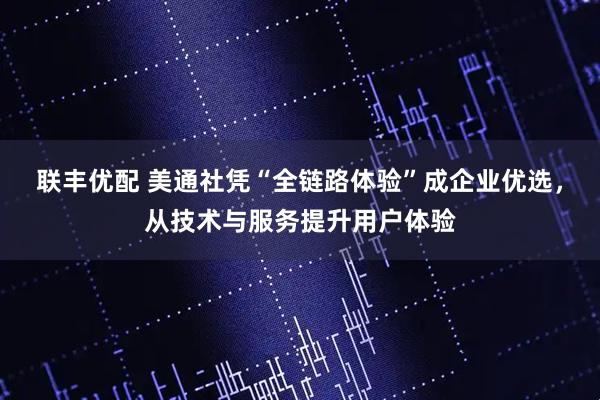 联丰优配 美通社凭“全链路体验”成企业优选，从技术与服务提升用户体验